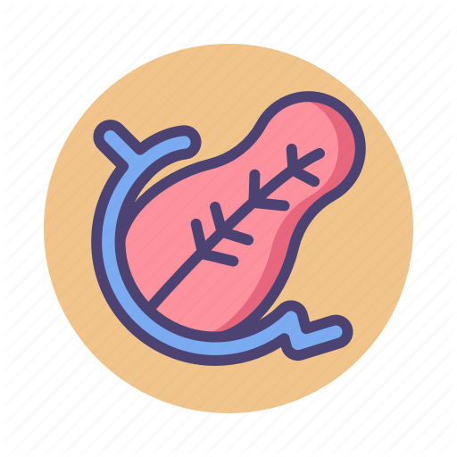 Organ, Pancreas Icon