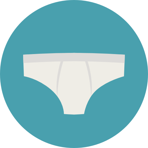 Panties Icon