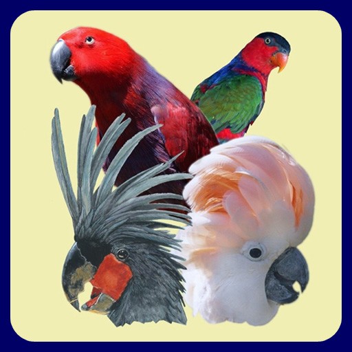 Parrot Icon at GetDrawings | Free download