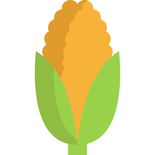 Corn Icon