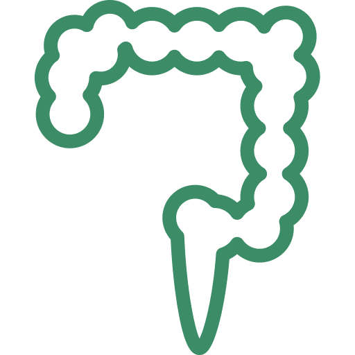 Nwp Colonoscopy Icon