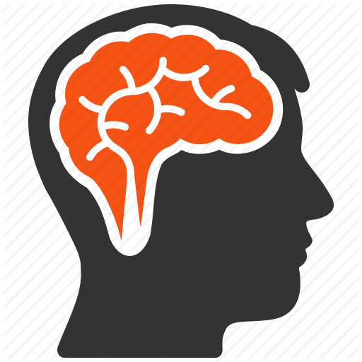Brain Memory Png Transparent Brain Memory Images