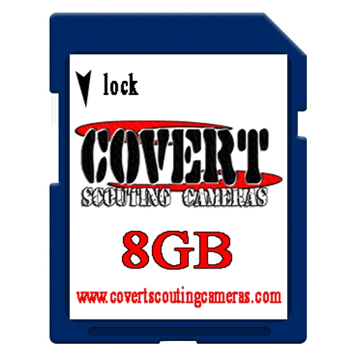 Tom's Pawn Shop Covert Sd Card
