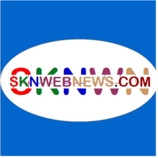 Cropped Sknwebnews Icon Color