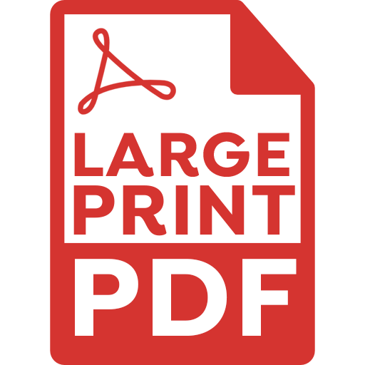 Large Print Pdf Icon Disability Law Service