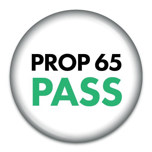 Pebble Portable Charger