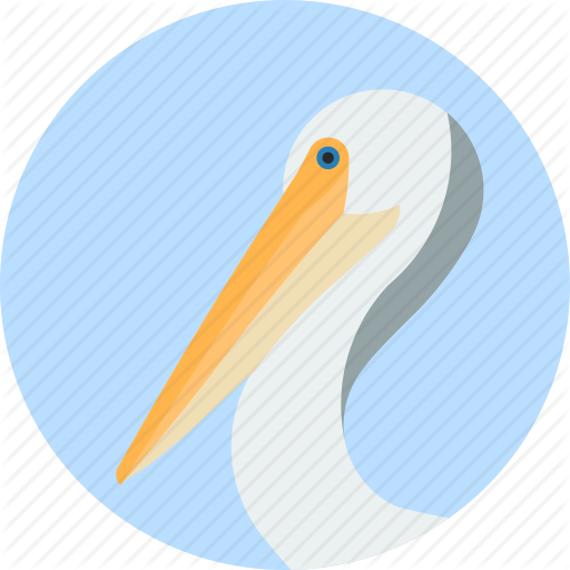 Animal, Beak, Bird, Exotic, Pelican, Tropical, Wild Icon