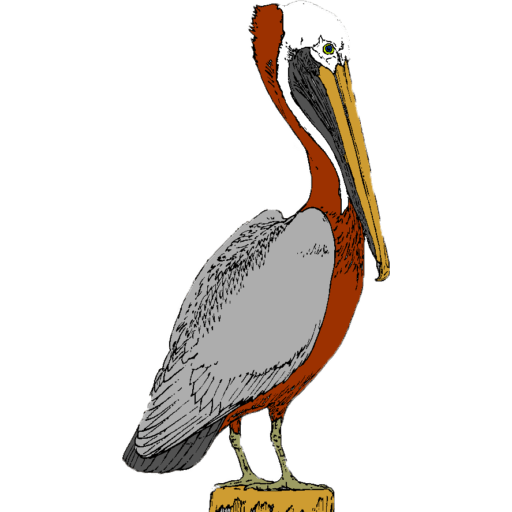 Contact Me Pelican Perch