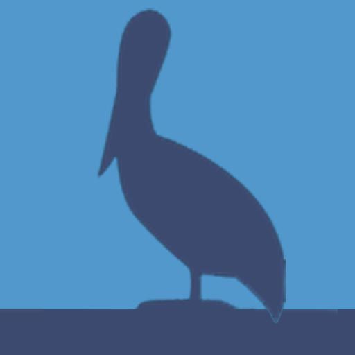 Cropped Pelican Icon The Pelicans Of Amelia Island