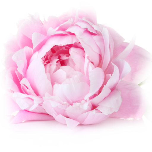 Cropped Sgg Icon Transparent