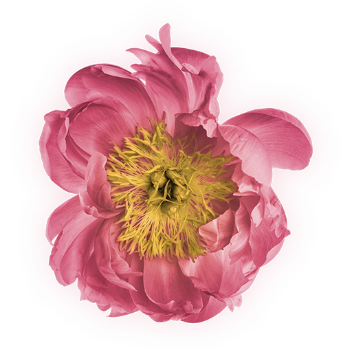 Cropped Icon Molly Widstrom