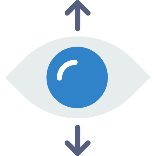 Interface, Multimedia Option, Vision, Perspective Icon