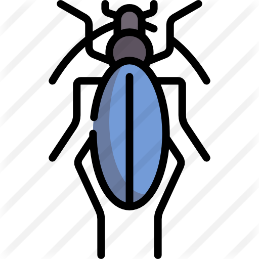 Beetle