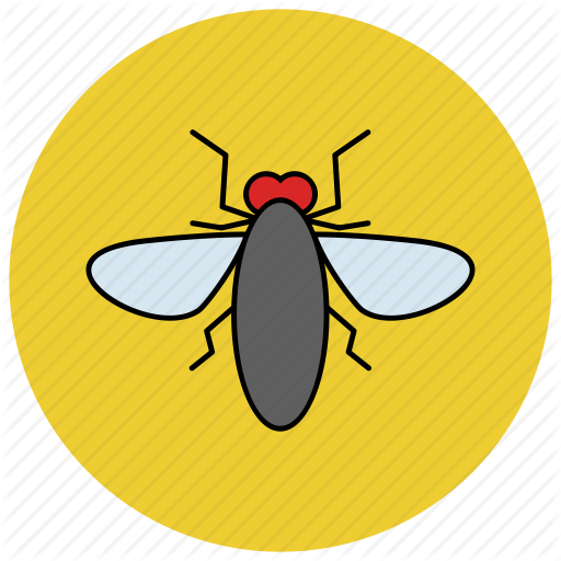 Fly, House Fly, Insects, Pest Icon