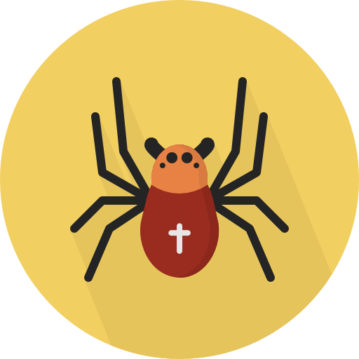 Insect, Spider, Animals Icon