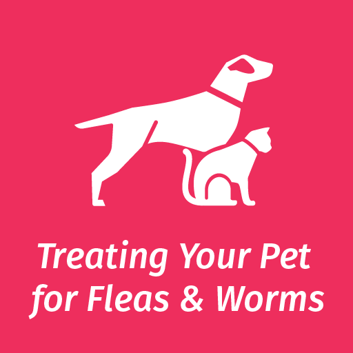 Helpful Information On Keeping Your Pet Healthy Elanco Uk