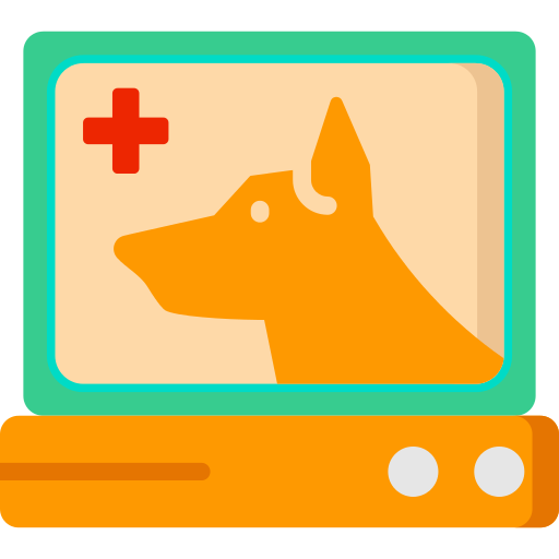 Cardiogram Pet Png Icon