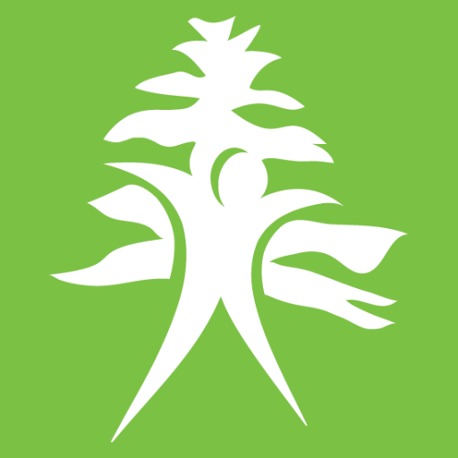 Cropped Site Icon Cypress Physical Therapy