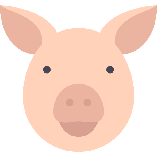 Pig Png Icon