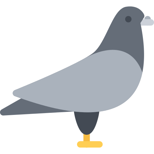 Pigeon Png Icon