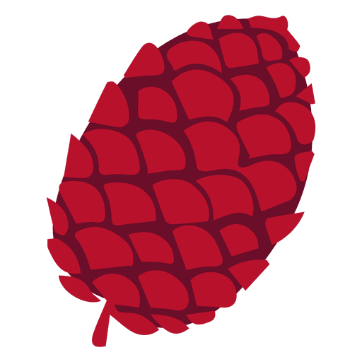 Pine Cone Illustration