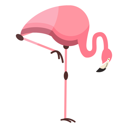 Flamingo Beak Pink Leg Flat