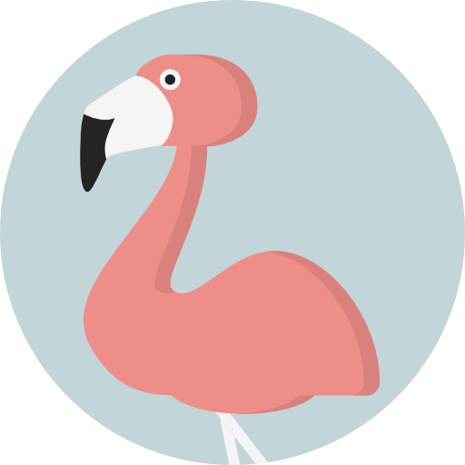 Bird, Zoo, Animals, Flamingo, Wildlife, Animal Kingdom Icon