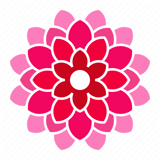 Bloom, Dahlia, Flower, Pink Icon