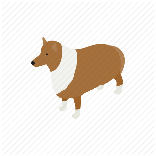 Animal, Blog, Canine, Collie, Dog, Isometric, Pet Icon