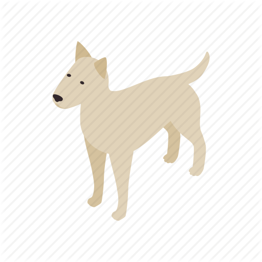Animal, Blog, Canine, Dog, Isometric, Pet, Pitbull Icon