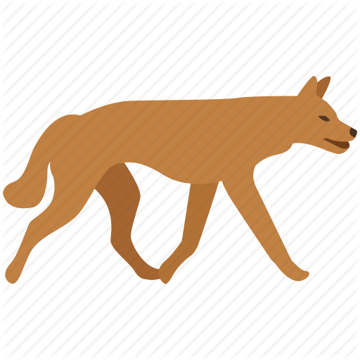 Australia, Canine, Dingo, Dog, Feral, Fox, Wild Icon