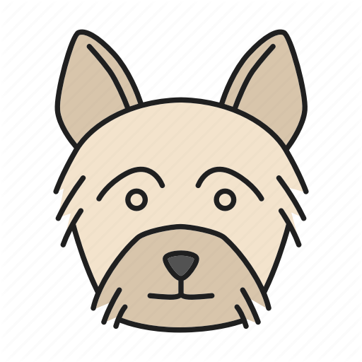 Breed, Dog, Pet, Puppy, Terrier, Yorkie, Yorkshire Icon