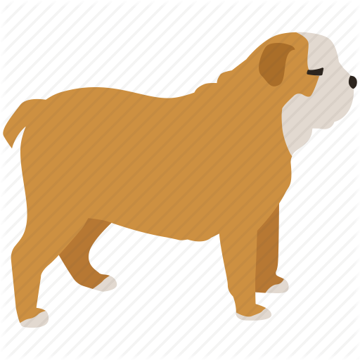 British, Bulldog, Dog, Pet, Pitbull, Pug, Terrier Icon