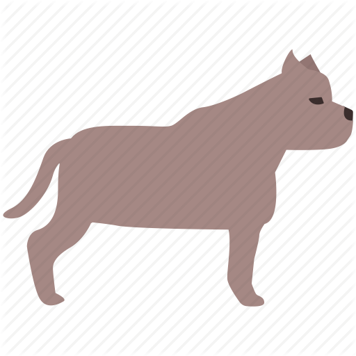 Bull, Bulldog, Dog, Fighting, Pit, Pitbull, Terrier Icon