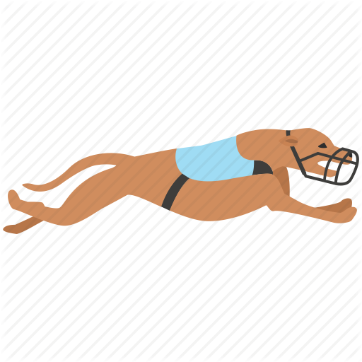 Dog, English, Grayhound, Greyhound, Hound, Races, Racing Icon
