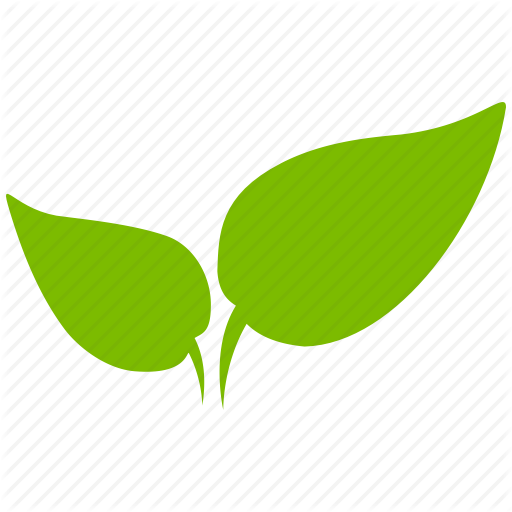 Agriculture, Environment, Flower, Garden, Nature, Plant, Start