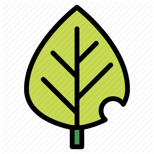 Botanical, Leaf, Leave, Plant Icon