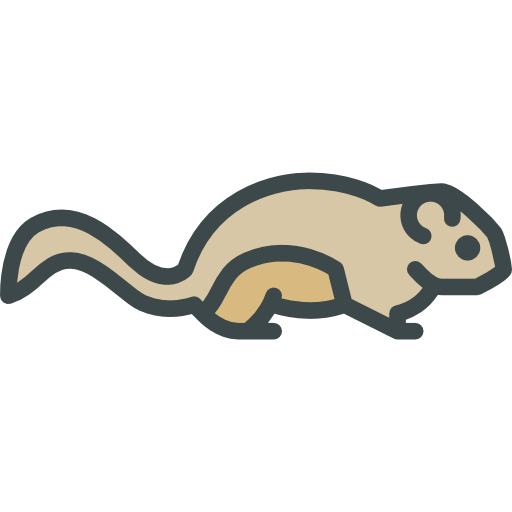 Zoo, Platypus, Animal Kingdom, Animals, Wild Life Icon