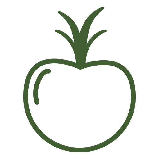 Pomegranate Fruit Icon