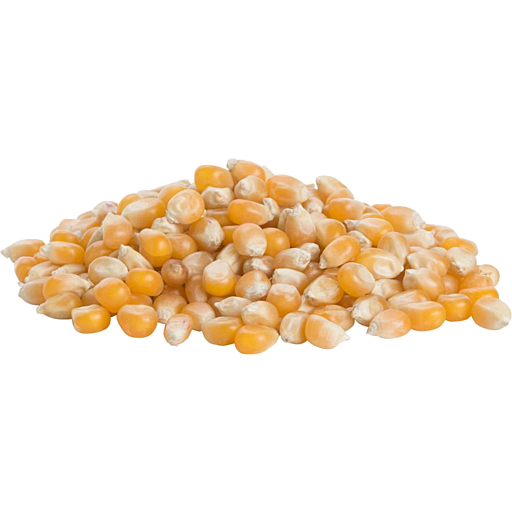Popcorn Kernels