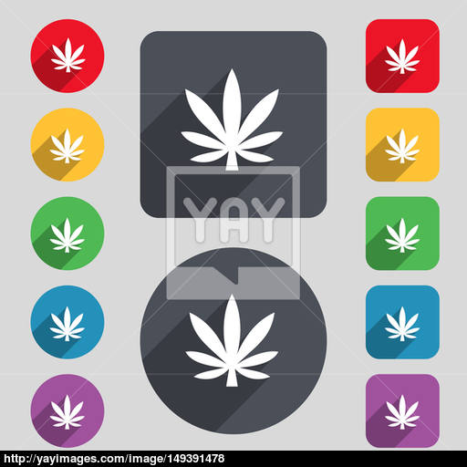 Cannabis Leaf Icon Sign A Set Of Colored Buttons And A Long