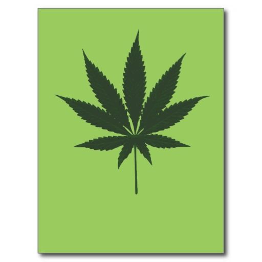 Marijuana Leaf Green Pot Cannabis Plant Le Leaves