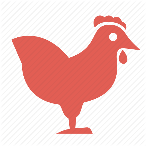 Bird, Chicken, Cooking, Diet, Food, Hen, Poultry Icon