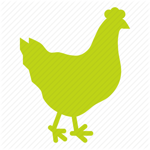 Bird, Chicken, Egg, Farm, Hen, Meat, Poultry Icon