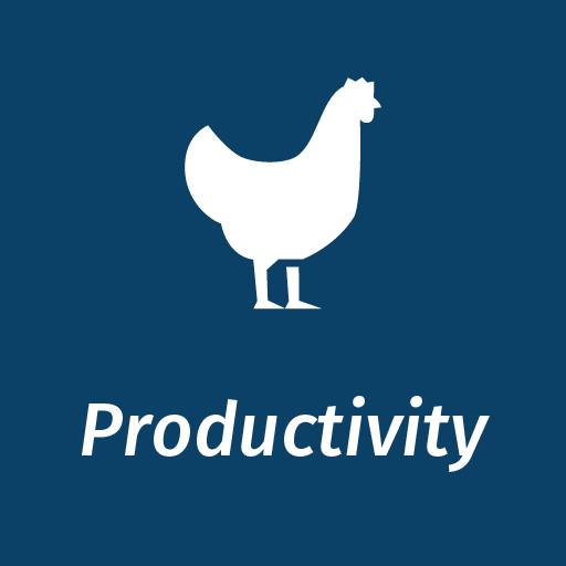 Prevention And Control Of Coccidiosis In Poultry Elanco Uk