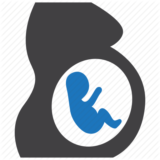 Embryo, Maternity, Obstetrics, Pregnancy, Pregnant Icon
