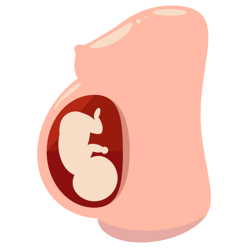 Pregnant, Belly Icon Free Of Free Flat Icons