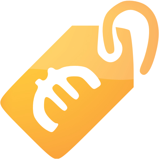 Web Orange Price Tag Euro Icon