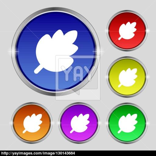 Leaf, Fresh Natural Product Icon Sign Round Symbol On Bright