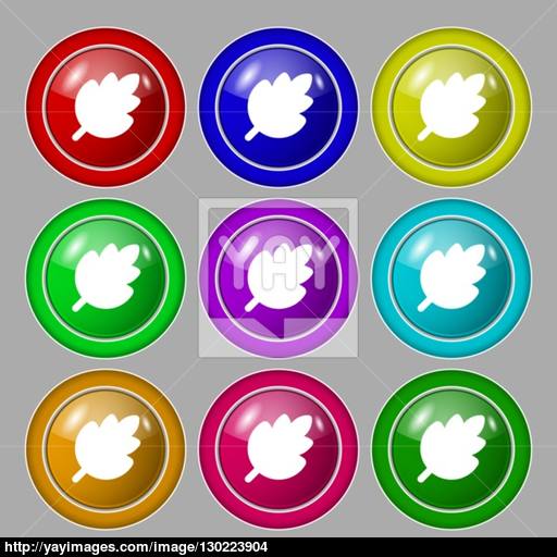 Leaf, Fresh Natural Product Icon Sign Symbol On Nine Round